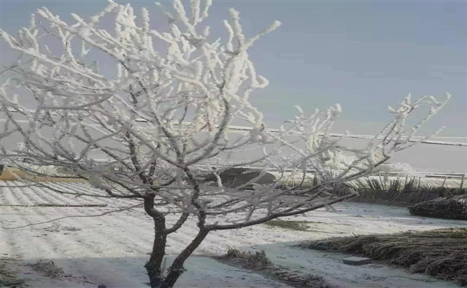 乡村雪景