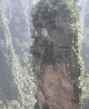 生命不息 姜国华摄影作品