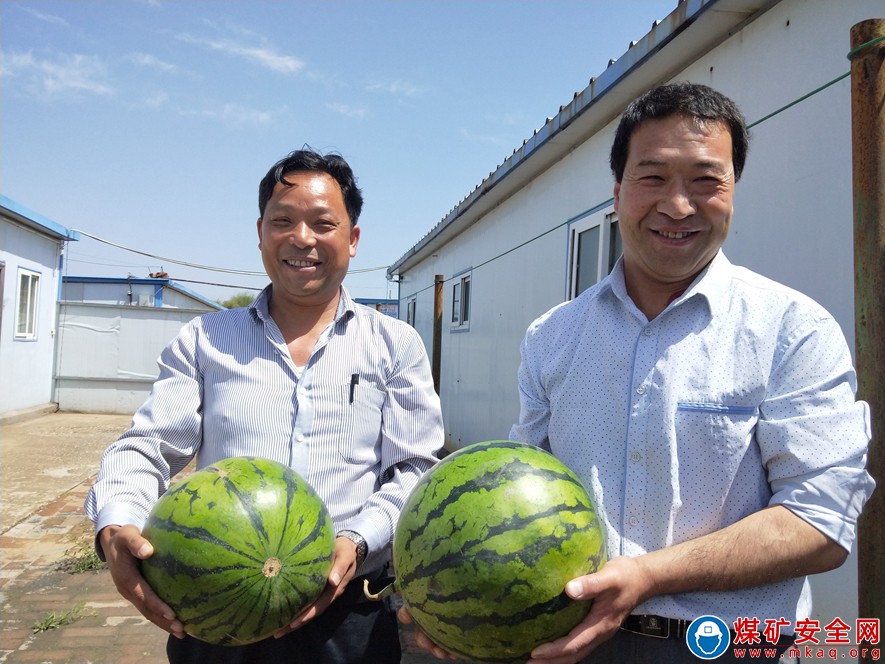 （图片新闻）蒲白矿业煤矿运营公司“夏送清凉暖人心”